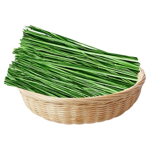 新头茬特级烘干北提摩西草段嫩绿多叶小宠动物龙猫兔子磨牙牧草