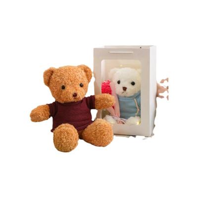 定制小熊玩偶穿衣泰迪熊毛绒玩具