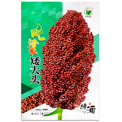 大田高粱矮杆抗鸟酿酒高产