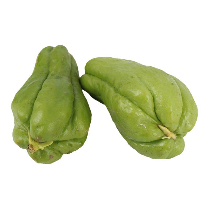 佛手瓜种籽种瓜带芽四季瓜种蔬菜龙须菜种子孑种苗带土扶手瓜种植