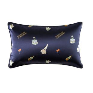 桑尚真丝儿童枕套2025新款30×50卡通图案宝宝单个装乳胶枕套亲肤