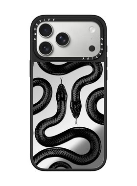 CASETiFY黑色大王蛇潮牌手机壳