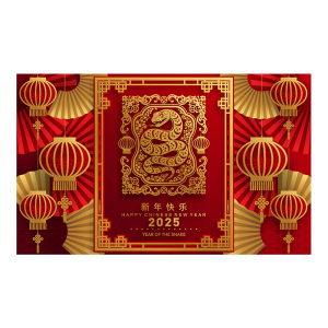 2025新年地垫玄关入户门垫蛇年喜庆红色防滑脚垫家用春节门口地毯