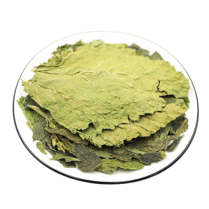 桑叶500g克桑葚叶桑桑椹黄桑叶