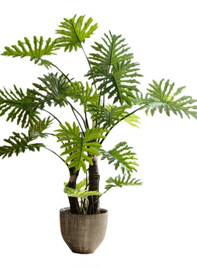 仿真春羽树假植物室内装饰摆件