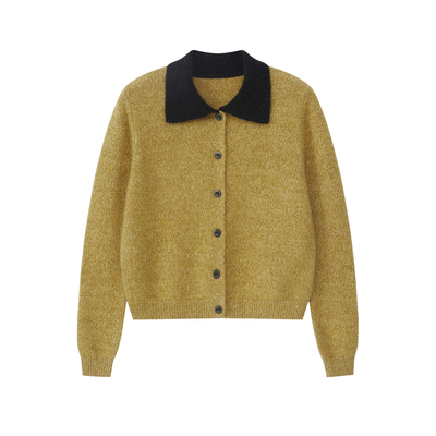 艾文文2025新款女士毛针织衫