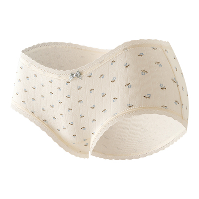 都市丽人纯棉蕾丝内裤女