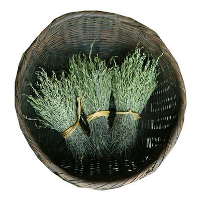 深山独脚金开胃疳积草短株疳积草
