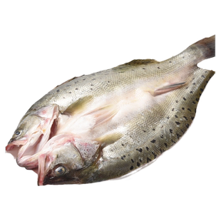 开背海鲈鱼新鲜冷冻深海鱼七星鱼三去卢鱼海鲜水产烤鱼半成品商用