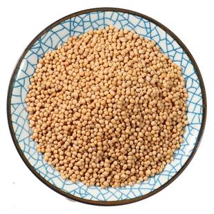 白芥子500g中药材正品生白介子中药小伸筋草白芥子粉 炒 非野生