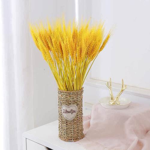 天然麦穗大麦干花花束开业店庆装饰摆件干花插花拍摄道具客厅田园