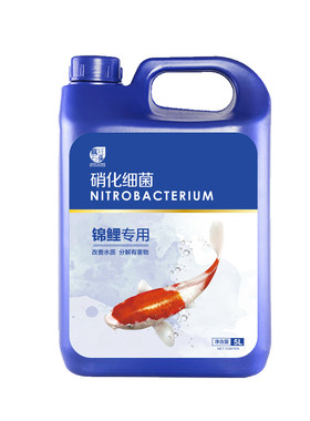 锦鲤池专用！活性硝化菌净化水质
