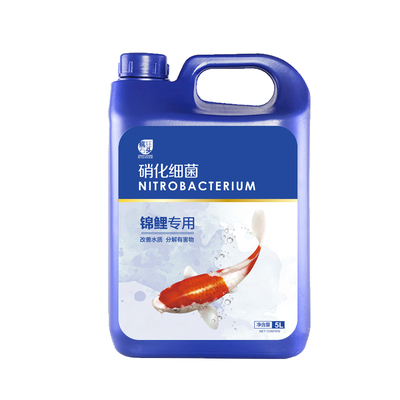 锦鲤池专用！活性硝化菌净化水质
