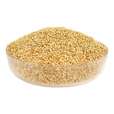 鹦鹉鸟粮饲料新黄谷子带壳小米