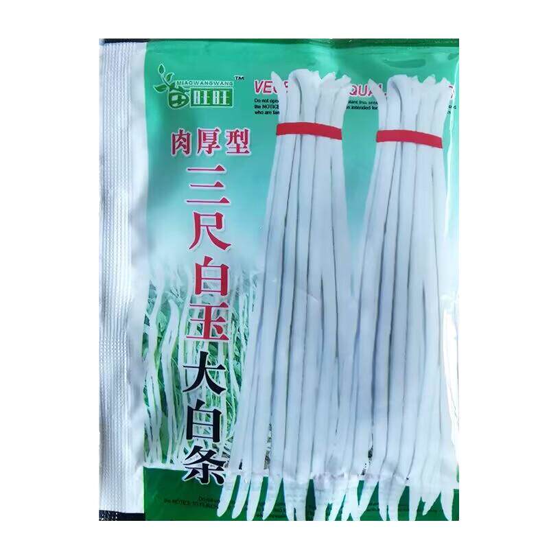 肉厚型白豇豆种子长豆角种籽春四季蔬菜农家阳台盆栽早熟高产种孑