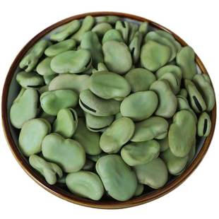 蚕豆种籽南方种特大蚕豆种子罗汉豆种籽胡豆豌豆蔬菜种孑菜籽高产
