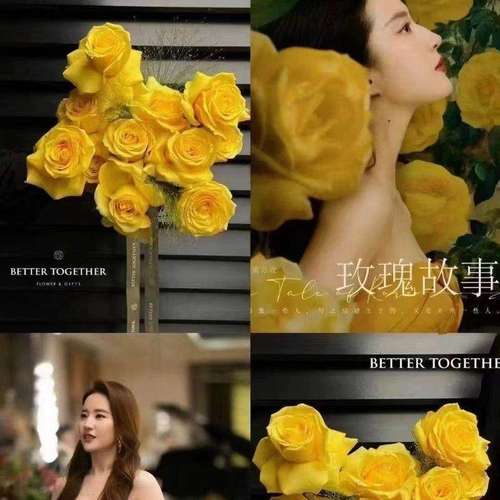 新疆包邮黄玫瑰玫瑰黄亦玫网红同款仿真玫瑰花瀑布布置橱窗装饰拍