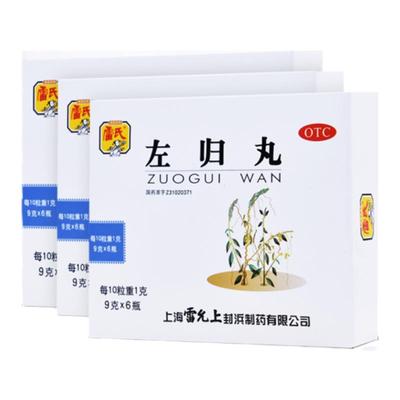 【雷氏】左归丸9g*6瓶/盒盗汗腰膝酸软补肾健脾益肾延时
