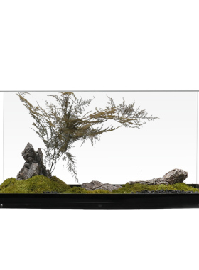 新中式风永生苔藓亚克力大堂干花