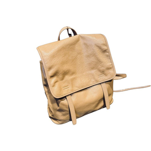 2026年新款时尚大容量真皮双肩包女士牛皮背包16寸电脑包潮流书包