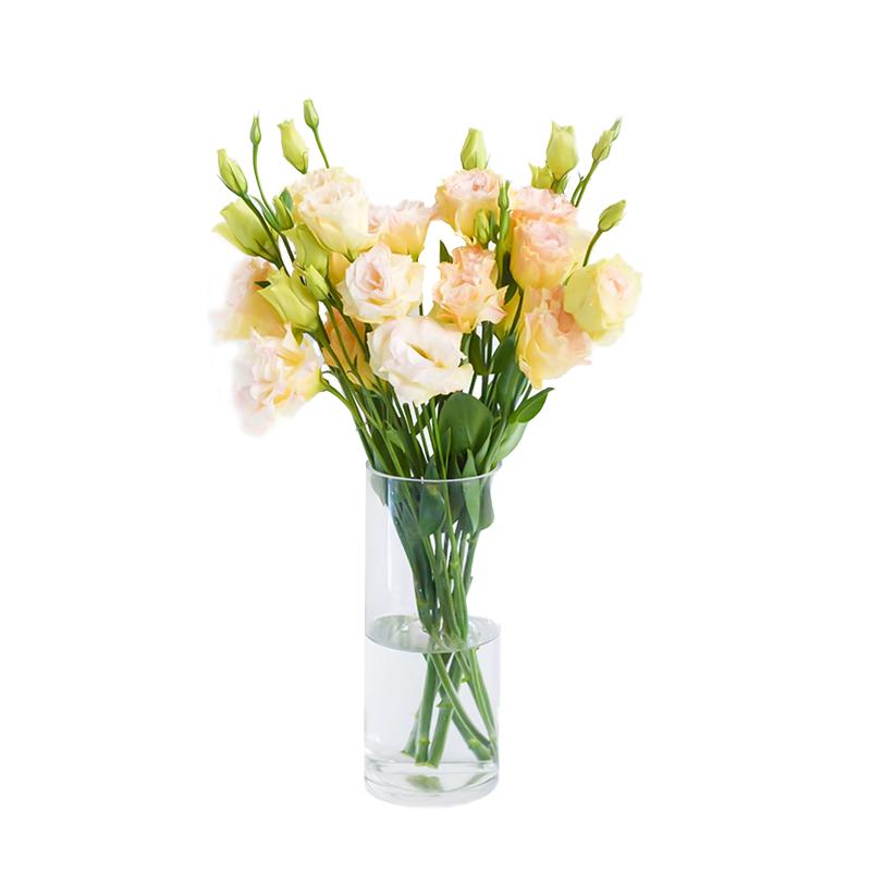 洋桔梗鲜花基地直发桔梗鲜花百合花玫瑰花家用插花