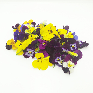 新鲜三色堇50朵三色花可食用鲜花草西餐甜品烘焙蛋糕装饰摆盘包邮