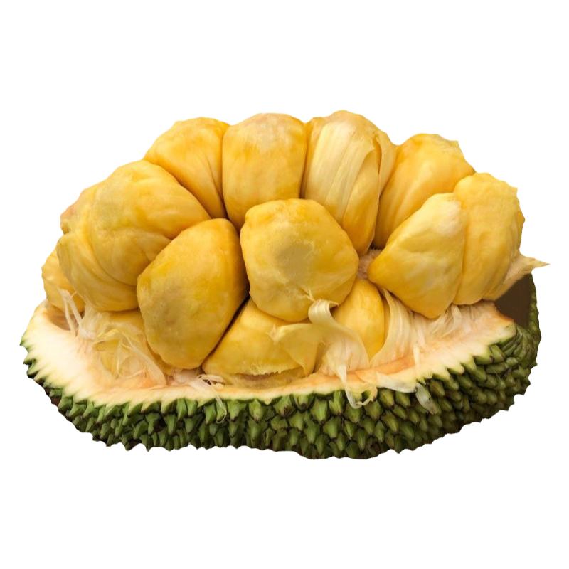 新鮮榴蓮蜜小個(gè)尖蜜拉尖不拉多肉巴掌迷你濕包熱帶水果包郵