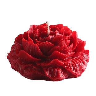 JOJO'S L. PD.Border.香薰蜡烛山茶花无烟大豆高级感装饰 | 戍边