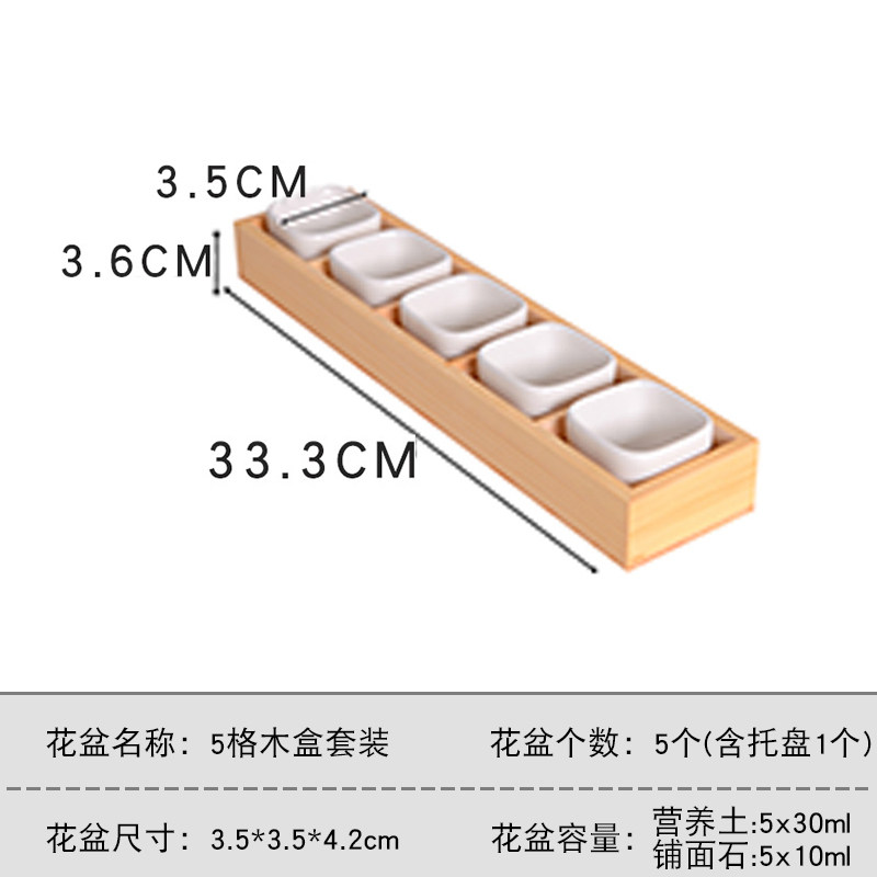 多肉植物迷你简约白色拇指小花盆带托盘控型创意肉组合陶瓷老桩盆