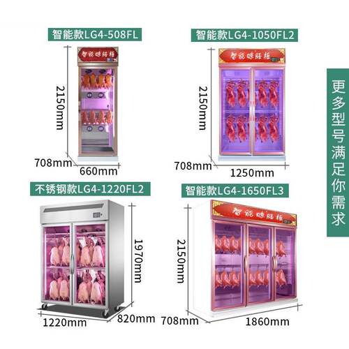 通宝智能风干柜晾鸭柜商用烤鸭烧腊烘干机晾胚柜单双门吹鸭晒鸭柜