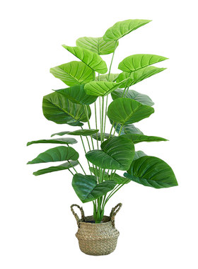 仿真绿植摆件龟背竹盆栽高端轻奢