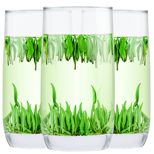 雀舌2025新茶毛尖绿茶明前嫩芽特级贵州湄潭翠芽凤冈锌硒茶礼盒装