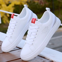 YCK9859 Белый серый