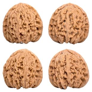 文玩核桃南疆石核桃一物一图A78511老树有修南将石狮子头盘玩41mm