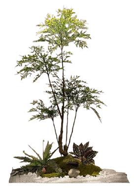 仿真南天竹造景绿植室内楼