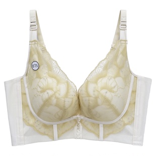 都市丽人新款内衣LJC1C5普拉提加宽测比收副乳四排中厚杯聚拢文胸