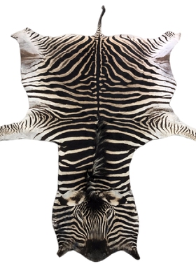 斑马皮沙发墙面家居进口轻奢皮毯