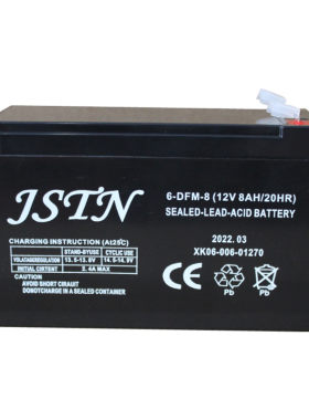 6-DFM-812V8AH/20HR喷雾器电池