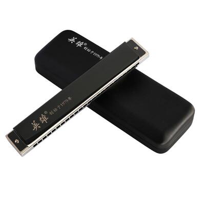 24孔专业演奏级单排单音口琴国光