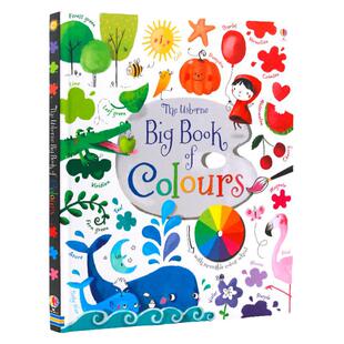 色彩绘本英文原版 Usborne Big Book of Colours 孩子的色彩启蒙颜色识别 11大色系130余种颜色 儿童色彩认知启蒙艺术学习大书
