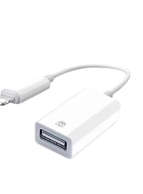 Lightning转USB转换器