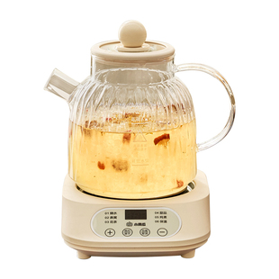 小南瓜养生壶家用多功能煮茶器电热烧水花茶壶办公室小型2025新款