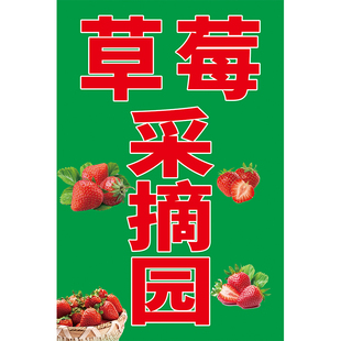 草莓采摘园广告牌园区直销零售宣传海报贴纸卖草莓喷绘广告定制hb