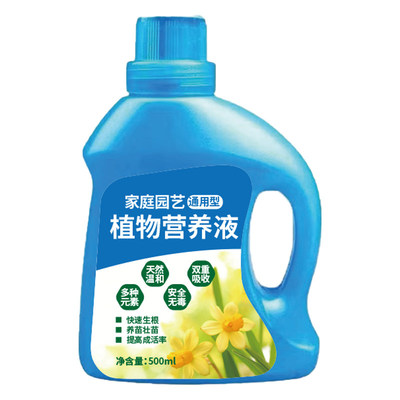 发财树专用营养液治叶子发黄