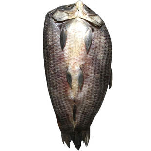 青鱼干整条特大螺丝青农家自制风干腊鱼湖北特产草鱼干阳干翘嘴鱼