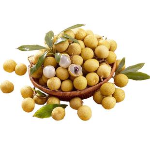 泰国龙眼新鲜进口桂圆热带水果孕妇水果5斤 核小皮薄去枝鲜果