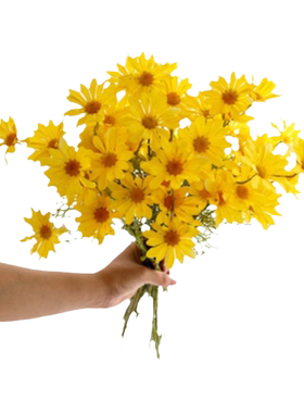 ：洋甘菊出游野餐拍照花束假花