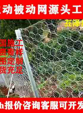 现货RXI200型被动边坡防护网PPS-300/100环形网SNS柔性主动防护网