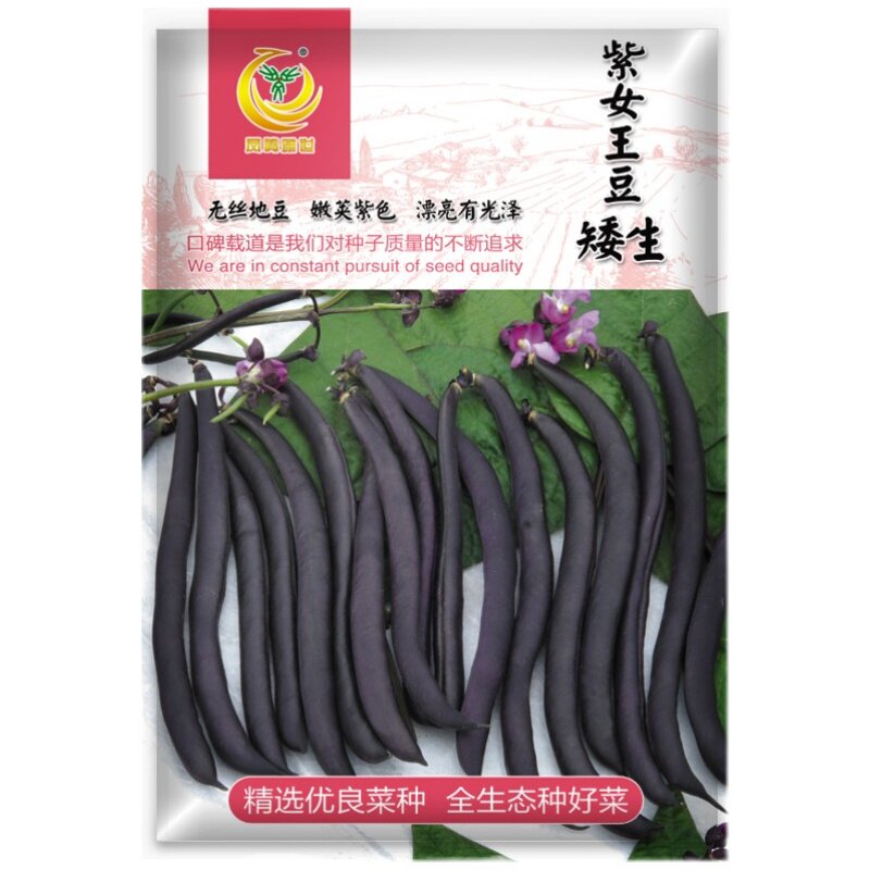 地豆彩虹黄金春夏秋季不搭架矮生