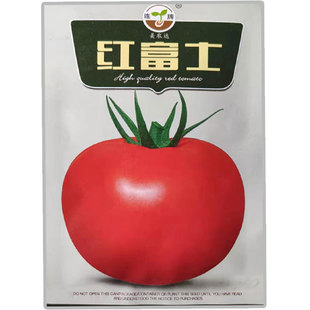 大红番茄种子西红柿种籽子孑大果300-700克耐高温干旱硬果耐运输